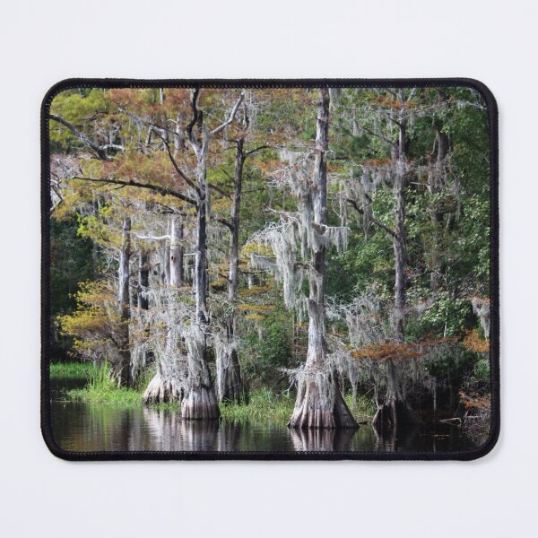 Item preview, Cypress Trees Along a Serene Swamp designed and sold by Cynthia48.