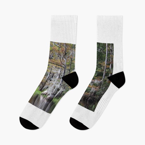 Item preview, Cypress Trees Along a Serene Swamp designed and sold by Cynthia48.