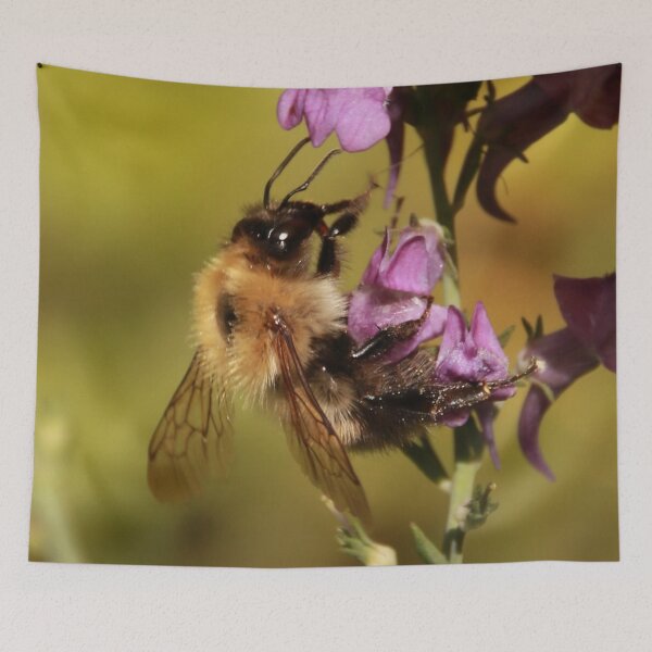 Item preview, Bee & Purple Toadflax/LinariaPurpurea designed and sold by AnnDixon.