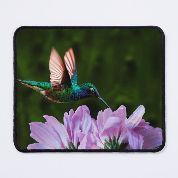 Item preview, Hummingbird on Flowers – Nature Photography Art designed and sold by s.art.creations.studio.