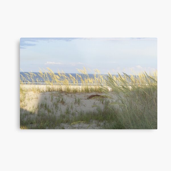 Item preview, Sand dunes St. Augustine , Florida designed and sold by jim1911.