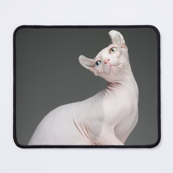 Item preview, Baby Sphynx designed and sold by solodukho.