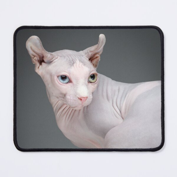 Item preview, Baby Sphynx designed and sold by solodukho.