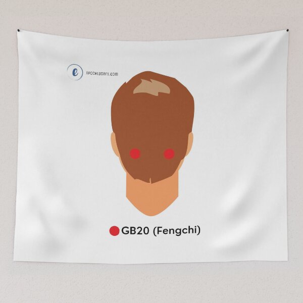 Item preview, Fengchi Acupoint Chart (GB20) – Gateway of Wind Epoch® Lasers Holistic Approach  designed and sold by Epoch-Lasers.