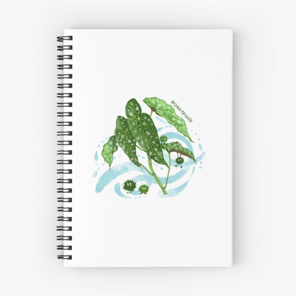 Item preview, Begonia maculata designed and sold by LiquidCats.