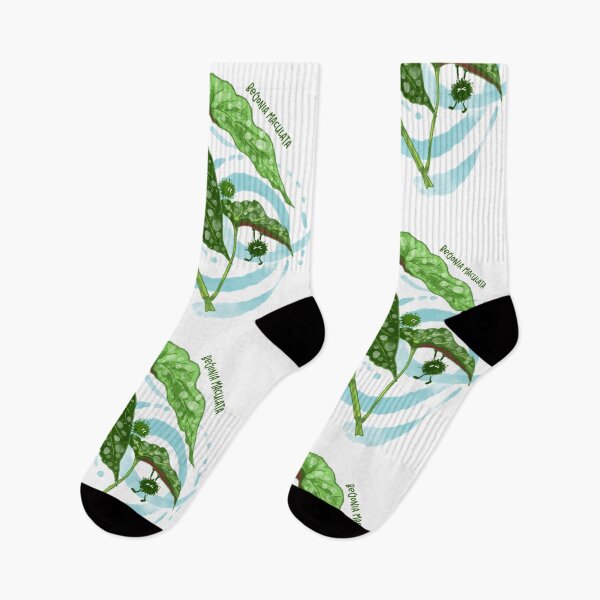Item preview, Begonia maculata designed and sold by LiquidCats.