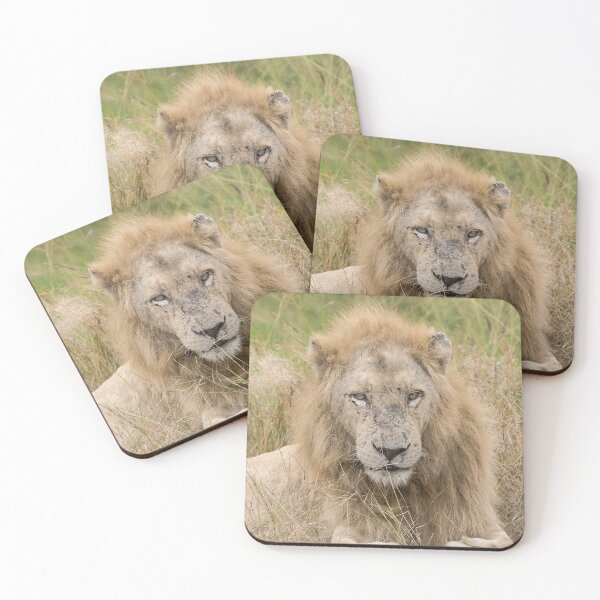 Item preview, White Lion of Kruger — Casper, Scars of a King, South Africa designed and sold by DavideAntoniani.