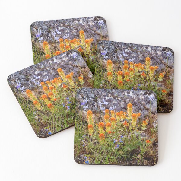 Item preview, Paintbrush Flowers on Paradise Ridge, Moscow, Idaho designed and sold by Alison Meyer Photography.