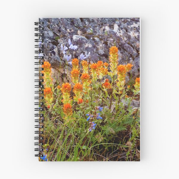 Item preview, Paintbrush Flowers on Paradise Ridge, Moscow, Idaho designed and sold by Alison Meyer Photography.