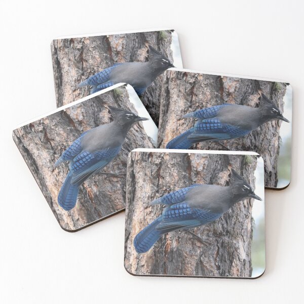 Item preview, Stellar's Jay perching on the side of a tree designed and sold by WolfRaven Creations.