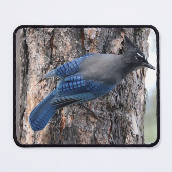 Item preview, Stellar's Jay perching on the side of a tree designed and sold by WolfRaven Creations.