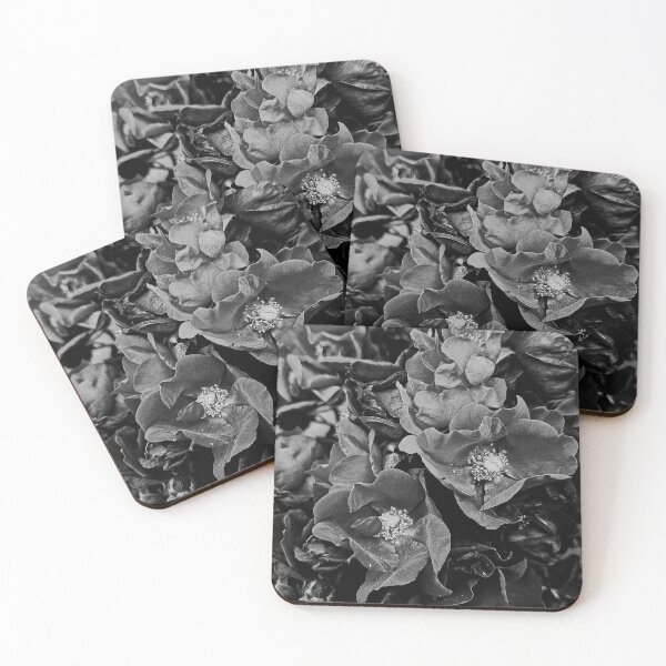 Item preview, Roses in Black and White designed and sold by Betsy Phillips.