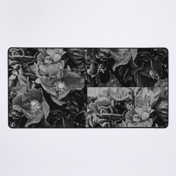 Item preview, Roses in Black and White designed and sold by Betsy Phillips.