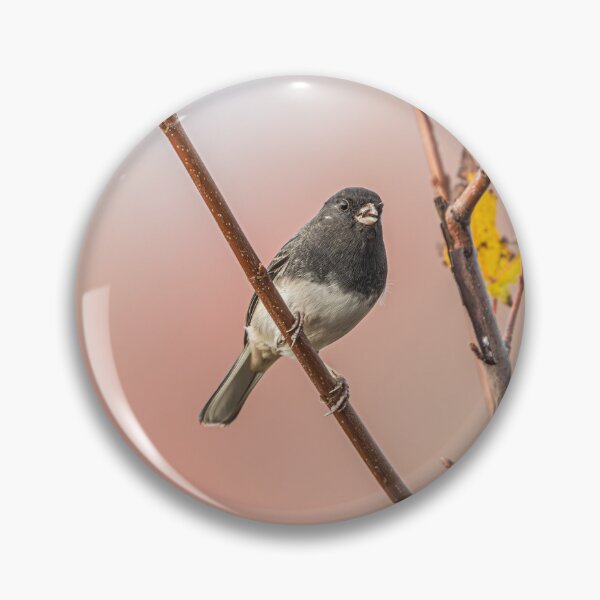 Item preview, Autumn Dark-eyed Junco designed and sold by Fultz-Brothers.