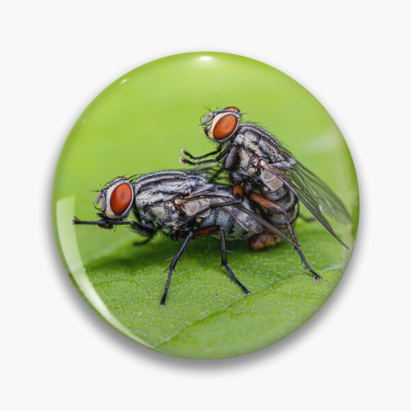 Item preview, Mating Flies designed and sold by Fultz-Brothers.