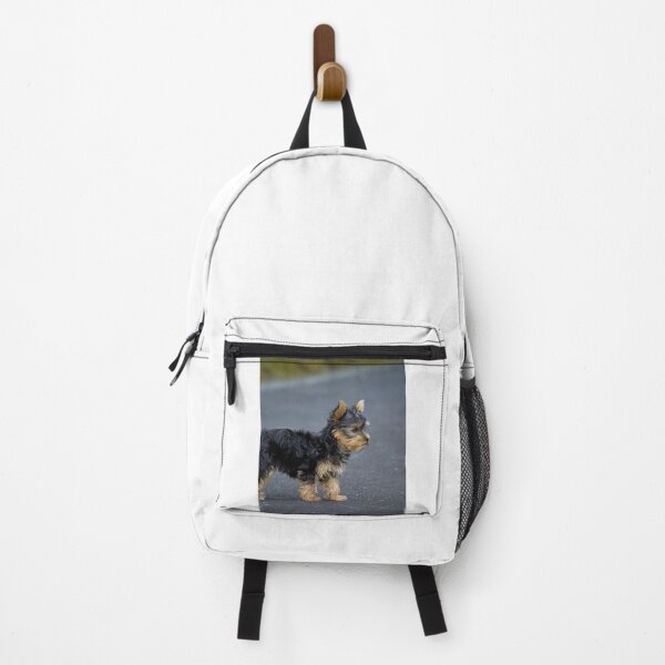 Item preview, Curious Yorkshire Terrier Dog designed and sold by VanGaldo.
