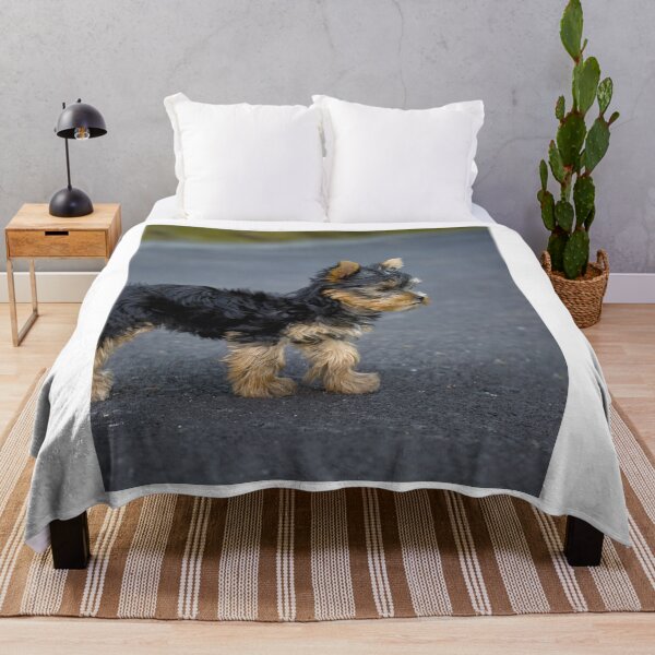 Item preview, Curious Yorkshire Terrier Dog designed and sold by VanGaldo.