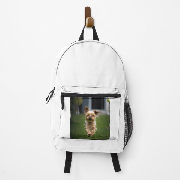 Item preview, Cute Yorkshire Terrier Puppy Running designed and sold by VanGaldo.