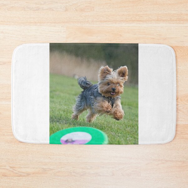 Item preview, Yorkshire Terrier Playing Frisbee designed and sold by VanGaldo.
