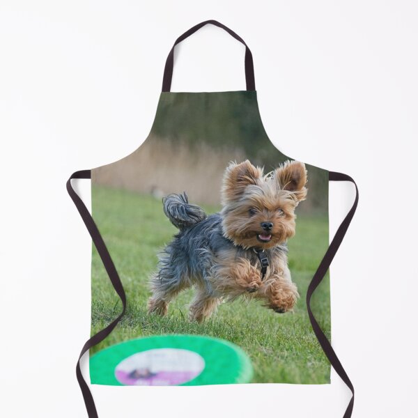 Item preview, Yorkshire Terrier Playing Frisbee designed and sold by VanGaldo.