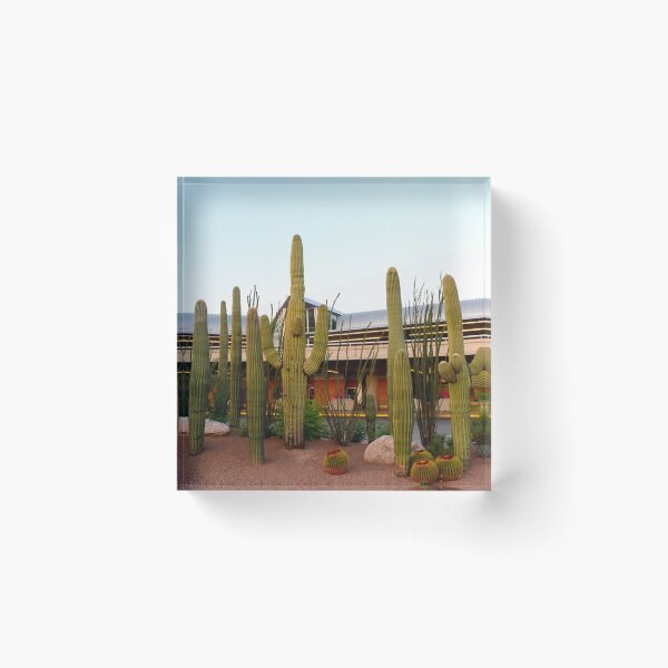 Item preview, Saguaros Tucson International Airport  designed and sold by simonjayphotos.