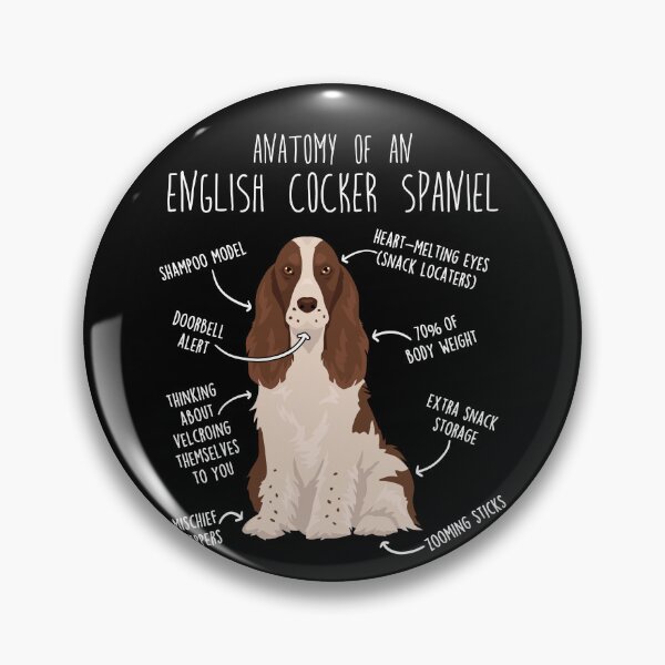 Item preview, Liver and White English Cocker Spaniel Dog Anatomy designed and sold by Clara Hollins.