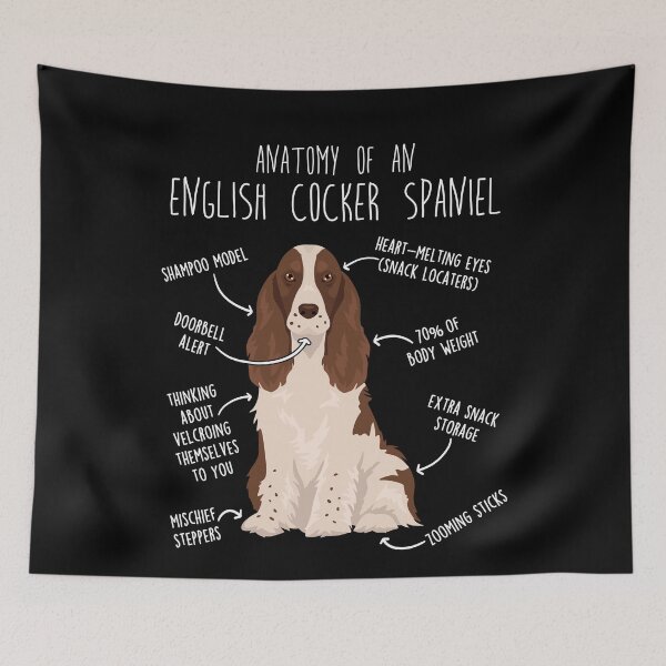 Item preview, Liver and White English Cocker Spaniel Dog Anatomy designed and sold by Clara Hollins.