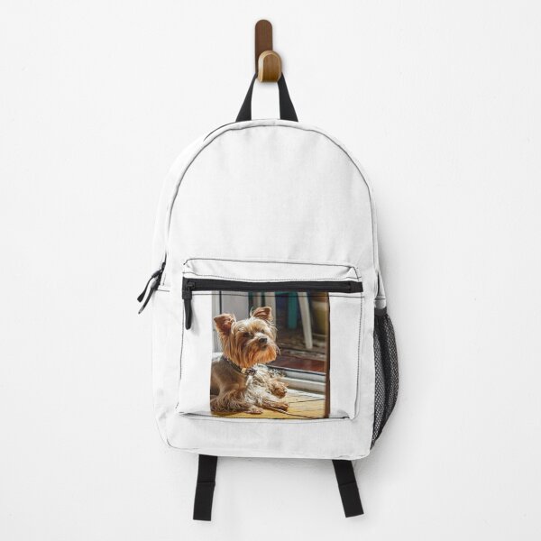Item preview, Yorkshire Terrier Dog Loves the Sunlight designed and sold by VanGaldo.