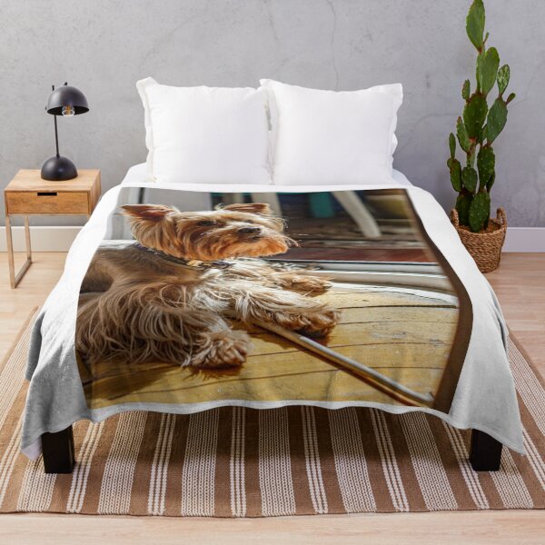 Item preview, Yorkshire Terrier Dog Loves the Sunlight designed and sold by VanGaldo.