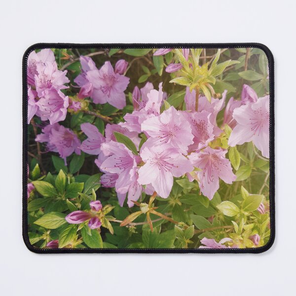 Item preview, Flowers and Sunlight designed and sold by AlineMaia.