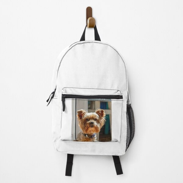Item preview, Cute Yorkshire Terrier Puppy Near Window designed and sold by VanGaldo.