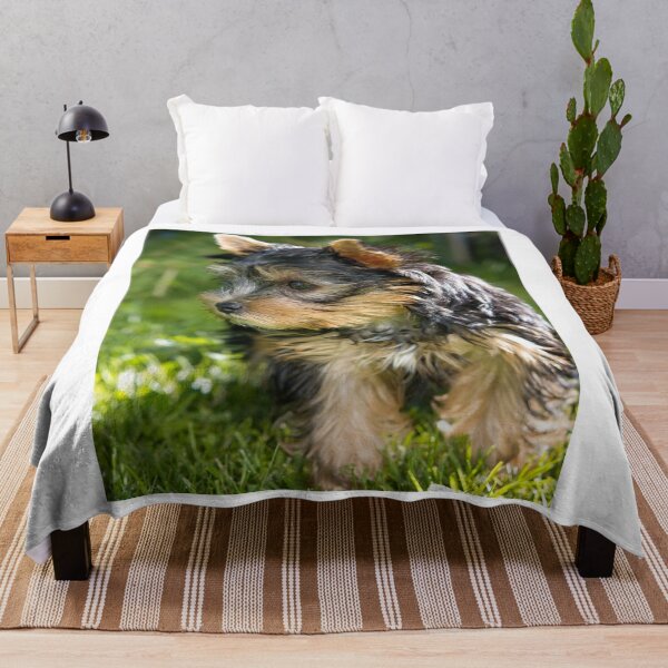 Item preview, Chill Yorkshire Terrier Puppy designed and sold by VanGaldo.