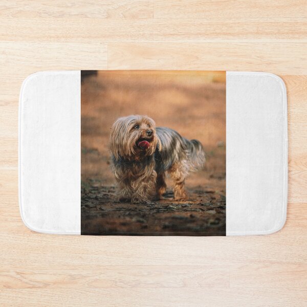 Item preview, Panting Yorkshire Terrier Puppy designed and sold by VanGaldo.