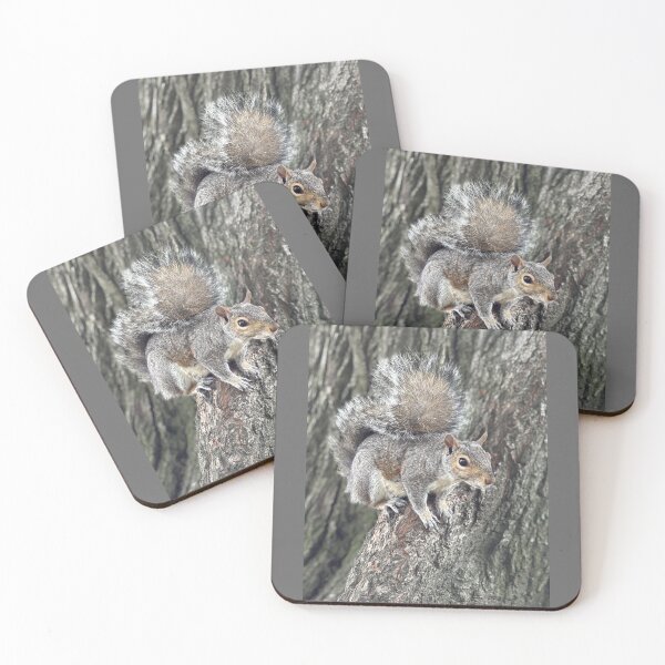 Item preview, Beautiful Squirrel Close-Up – Outdoor Wildlife Photo designed and sold by PresMatPlays.