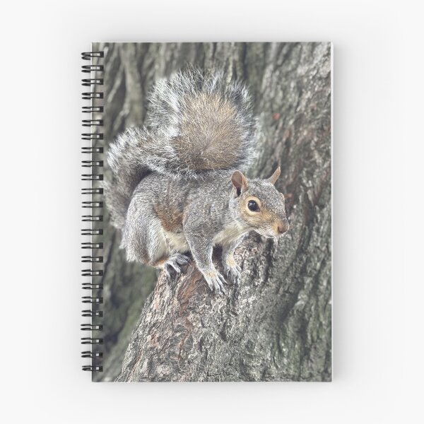 Item preview, Beautiful Squirrel Close-Up – Outdoor Wildlife Photo designed and sold by PresMatPlays.
