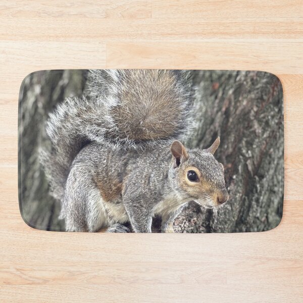 Item preview, Beautiful Squirrel Close-Up – Outdoor Wildlife Photo designed and sold by PresMatPlays.