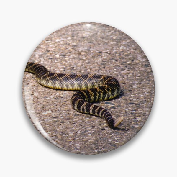 Item preview, Rattles Snake Crossing designed and sold by JWheelPhotos.