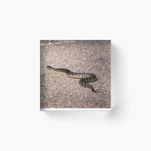 Item preview, Rattles Snake Crossing designed and sold by JWheelPhotos.