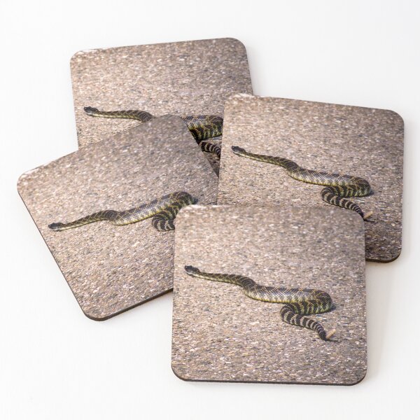 Item preview, Rattles Snake Crossing designed and sold by JWheelPhotos.