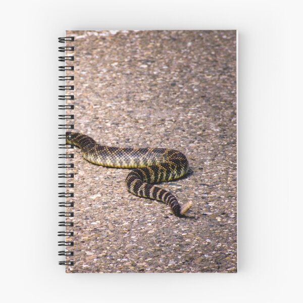 Item preview, Rattles Snake Crossing designed and sold by JWheelPhotos.