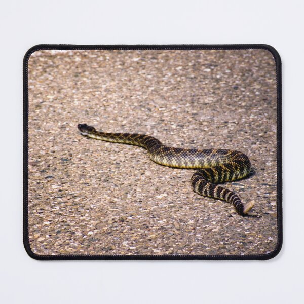 Item preview, Rattles Snake Crossing designed and sold by JWheelPhotos.
