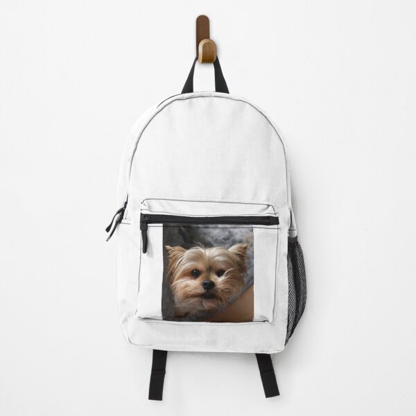Item preview, Lovely Yorkshire Terrier Dog designed and sold by VanGaldo.