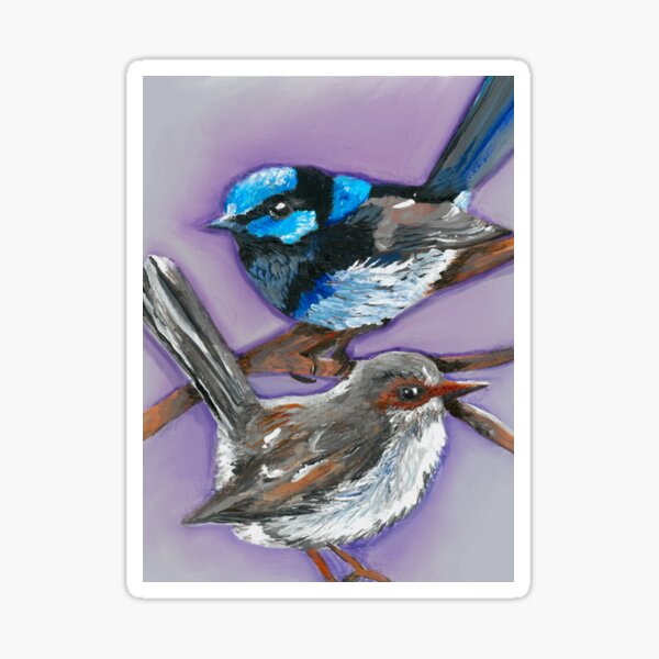 Fairy Wrens Sticker