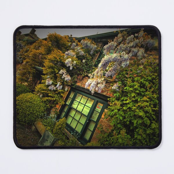 Item preview, Cottage draped in vibrant Wysteria. designed and sold by Ian Ramsay.