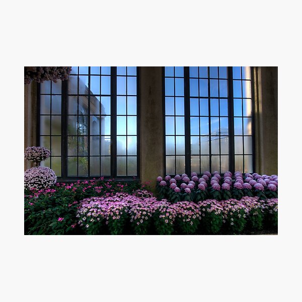 A Lavender View Photographic Print