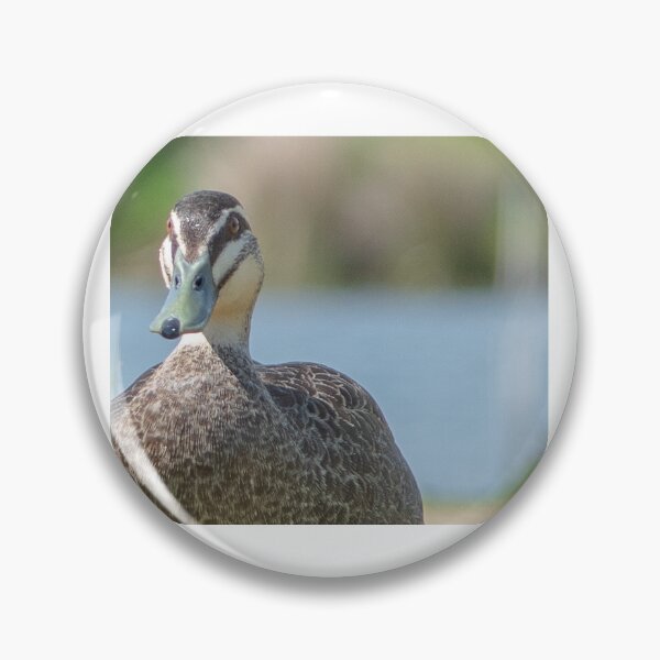 Item preview, Duck close up designed and sold by Dan Parish Photography.