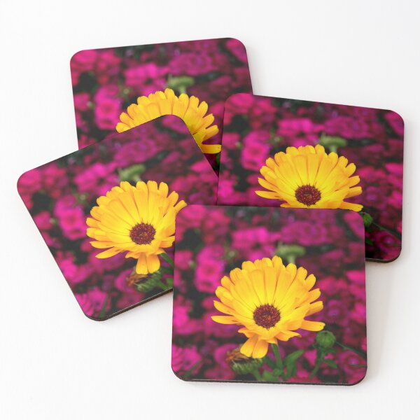 Item preview, Single Bright Marigold Against a Purple Background - Real Photograph designed and sold by T4U Exclusive Designs.