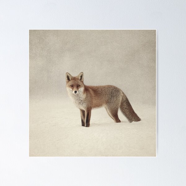 Item preview, Fox in Snow | T-Shirt designed and sold by NicolasGlowArt.
