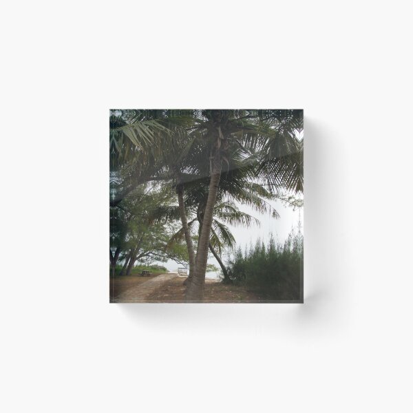 Item preview, Coconut Palm Trees at the Beach, Abaco designed and sold by abacoian.