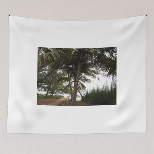 Item preview, Coconut Palm Trees at the Beach, Abaco designed and sold by abacoian.